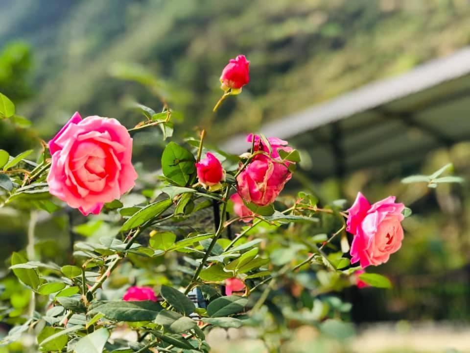Diem Dung Chan Can Ty Ha Giang Exterior photo
