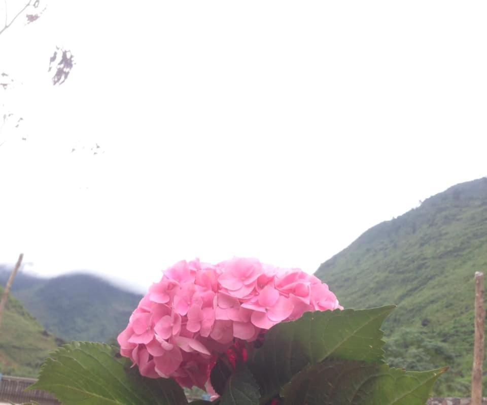 Diem Dung Chan Can Ty Ha Giang Exterior photo